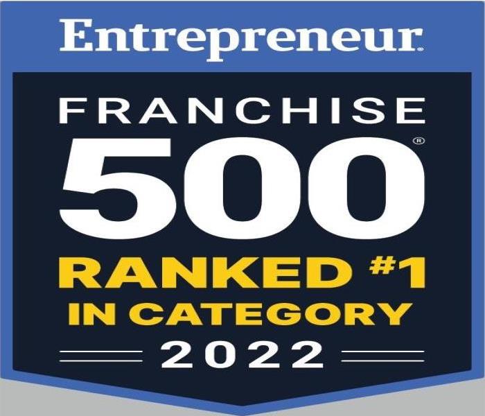 banner dark background with white lettering " Franchise 500 Ranked #1 in Category 2022"