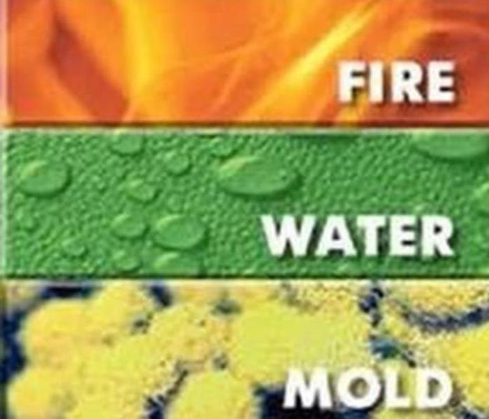 banner with fire/orange flames, water/green background with water drops, mold/with yellow mold spurs