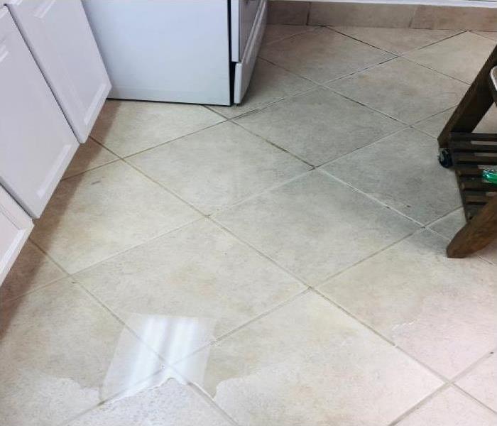 tile floor showing large water puddle below white kitchen cabinets